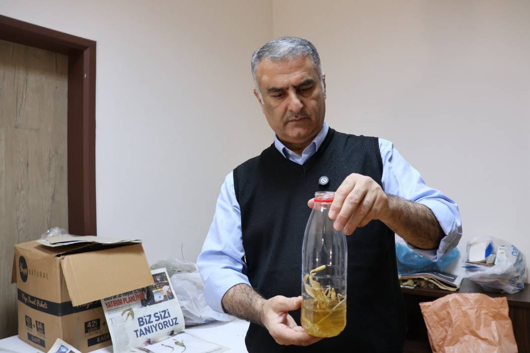 Nemrut Dağı'nda buldu. Karısının adını verdi 2